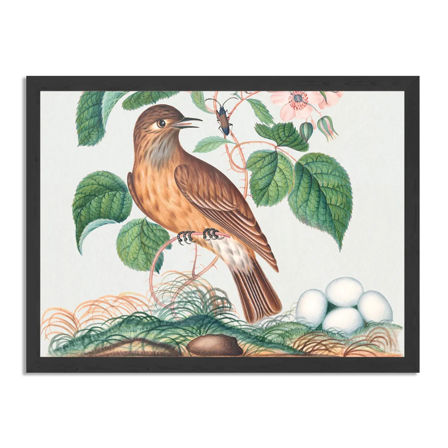 Poster Prent Natuur Vogel en Bloemen 01 Rechthoek Horizontaal Met Lijst Template PBF 50 70 Horizontaal Vintage 1 1