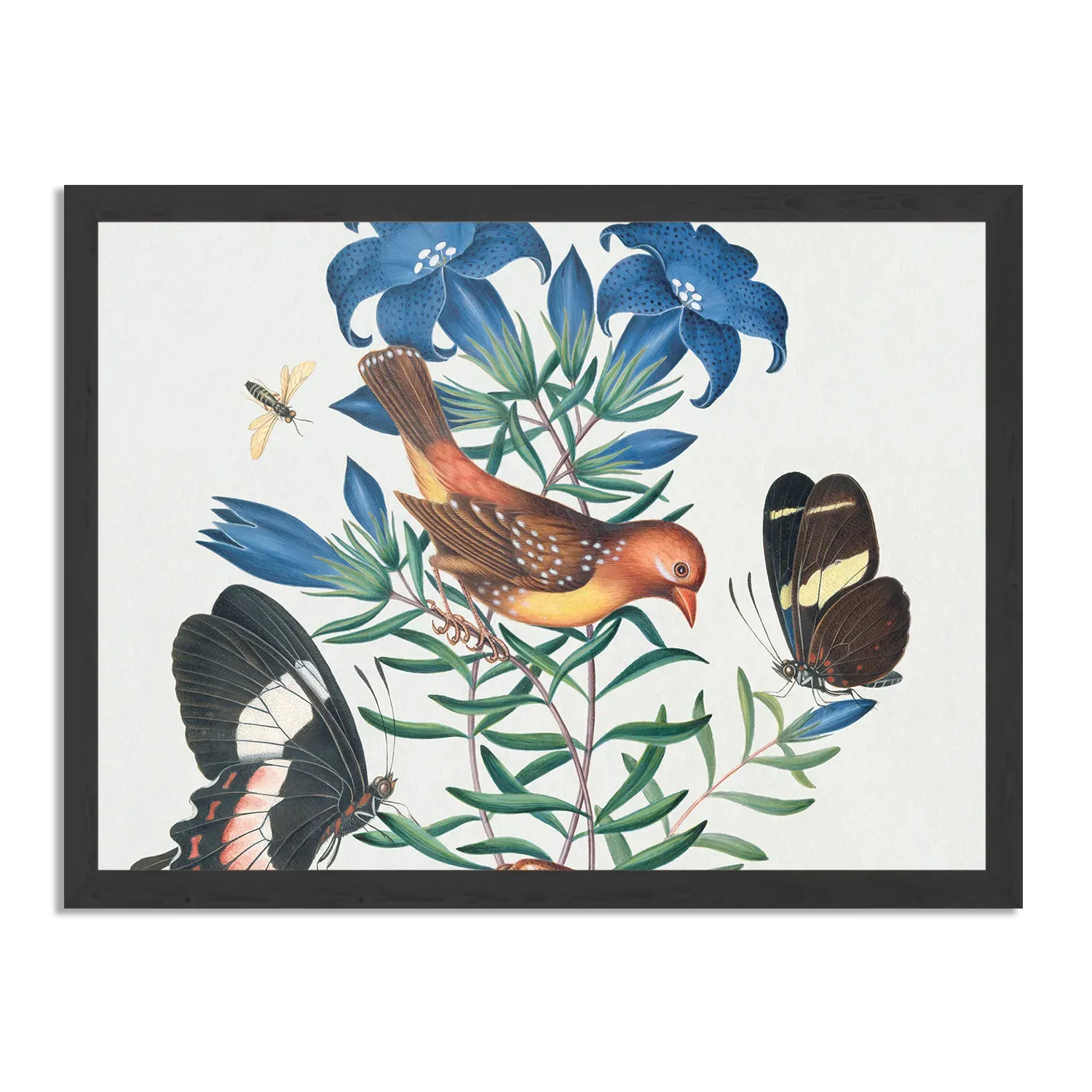 Poster Prent Natuur Vogel en Bloemen 02 Rechthoek Horizontaal Met Lijst Template PBF 50 70 Horizontaal Vintage 2 1