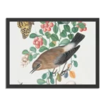 Poster Prent Natuur Vogel en Bloemen 05 Rechthoek Horizontaal Met Lijst Template PBF 50 70 Horizontaal Vintage 5 1