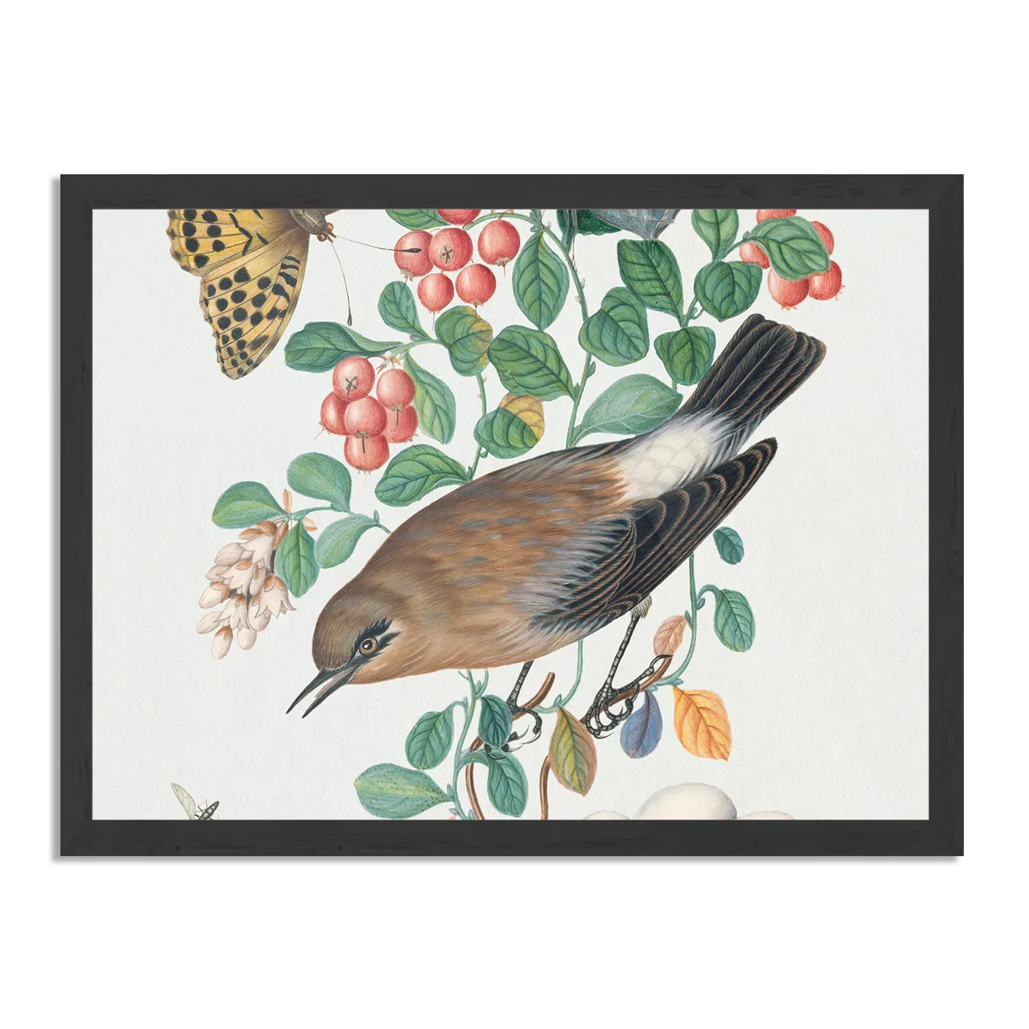 Poster Prent Natuur Vogel en Bloemen 05 Rechthoek Horizontaal Met Lijst Template PBF 50 70 Horizontaal Vintage 5 1