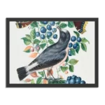 Poster Prent Natuur Vogel en Bloemen 06 Rechthoek Horizontaal Met Lijst Template PBF 50 70 Horizontaal Vintage 6 1
