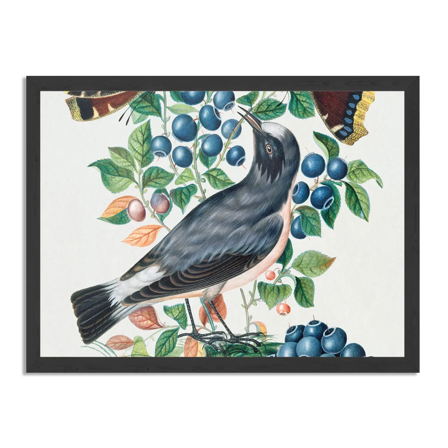 Poster Prent Natuur Vogel en Bloemen 06 Rechthoek Horizontaal Met Lijst Template PBF 50 70 Horizontaal Vintage 6 1