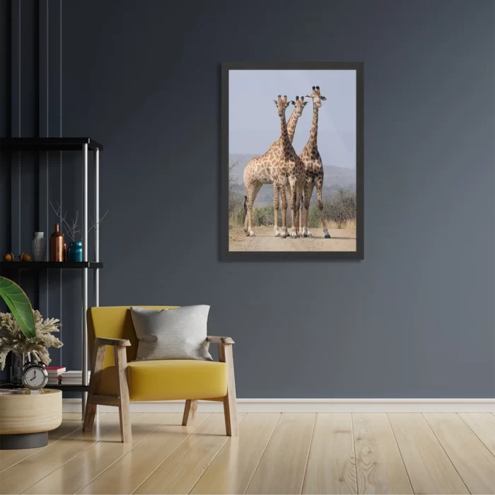 Poster Drie Giraffen Rechthoek Verticaal Met Lijst Template PBL 50 70 Verticaal Dieren 14 2