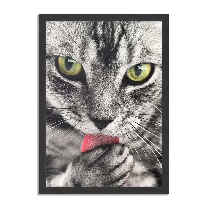 Poster Katte Hoofd Close up Rechthoek Verticaal Met Lijst Template PBL 50 70 Verticaal Dieren 16 1