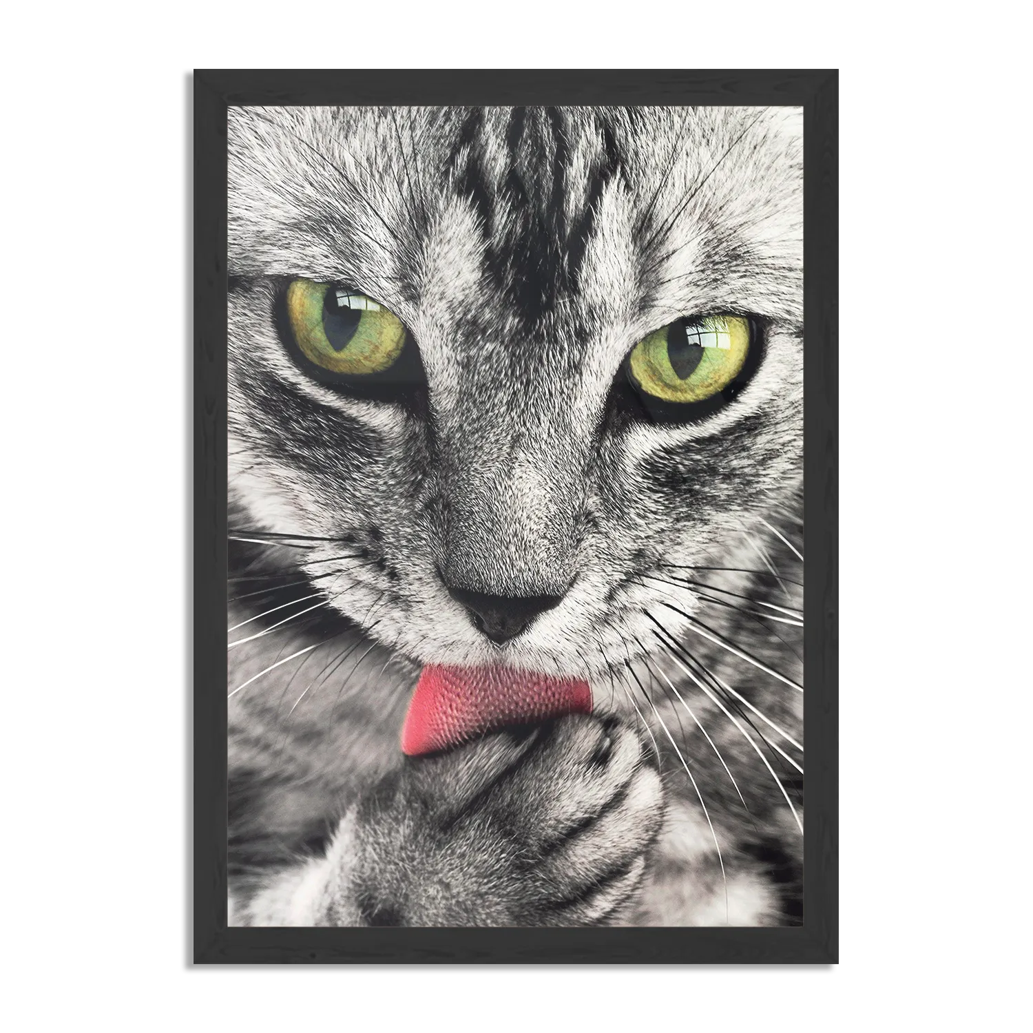 Poster Katte Hoofd Close up Rechthoek Verticaal Met Lijst Template PBL 50 70 Verticaal Dieren 16 1
