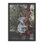 Poster De Vastgelamde Koala Rechthoek Verticaal Met Lijst Template PBL 50 70 Verticaal Dieren 23 1