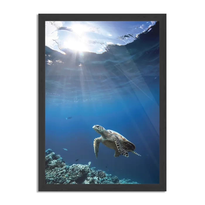 Poster Zeeschildpad In Helderblauw Water 03 Rechthoek Verticaal Met Lijst Template PBL 50 70 Verticaal Dieren 30 1