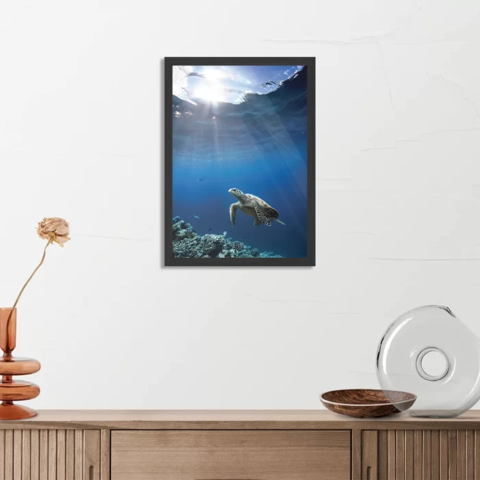 Poster Zeeschildpad In Helderblauw Water 03 Rechthoek Verticaal Met Lijst Template PBL 50 70 Verticaal Dieren 30 3