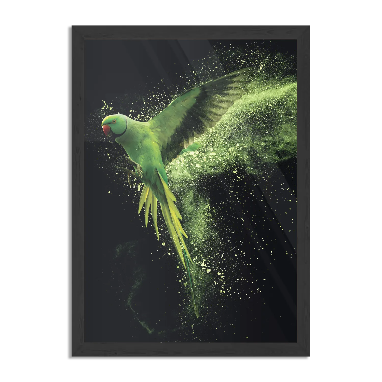 Poster De Groene Parkiet Rechthoek Verticaal Met Lijst Template PBL 50 70 Verticaal Dieren 38 1