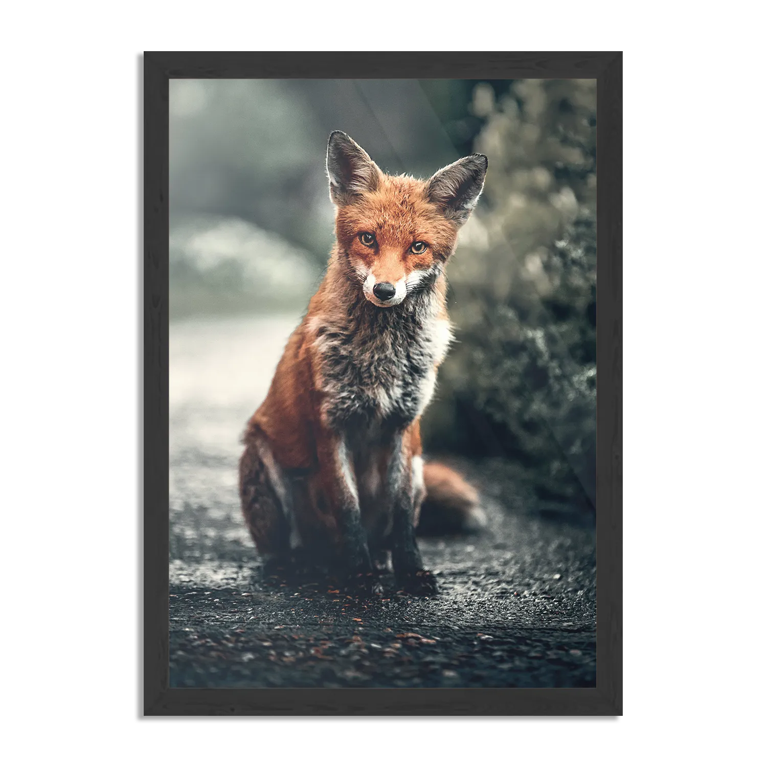 Poster Vosje In De Natuur Rechthoek Verticaal Met Lijst Template PBL 50 70 Verticaal Dieren 4 1