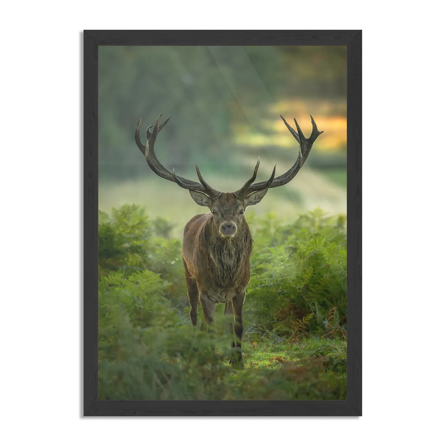 Poster Edelhert In Het Bos Rechthoek Verticaal Met Lijst Template PBL 50 70 Verticaal Dieren 45 1