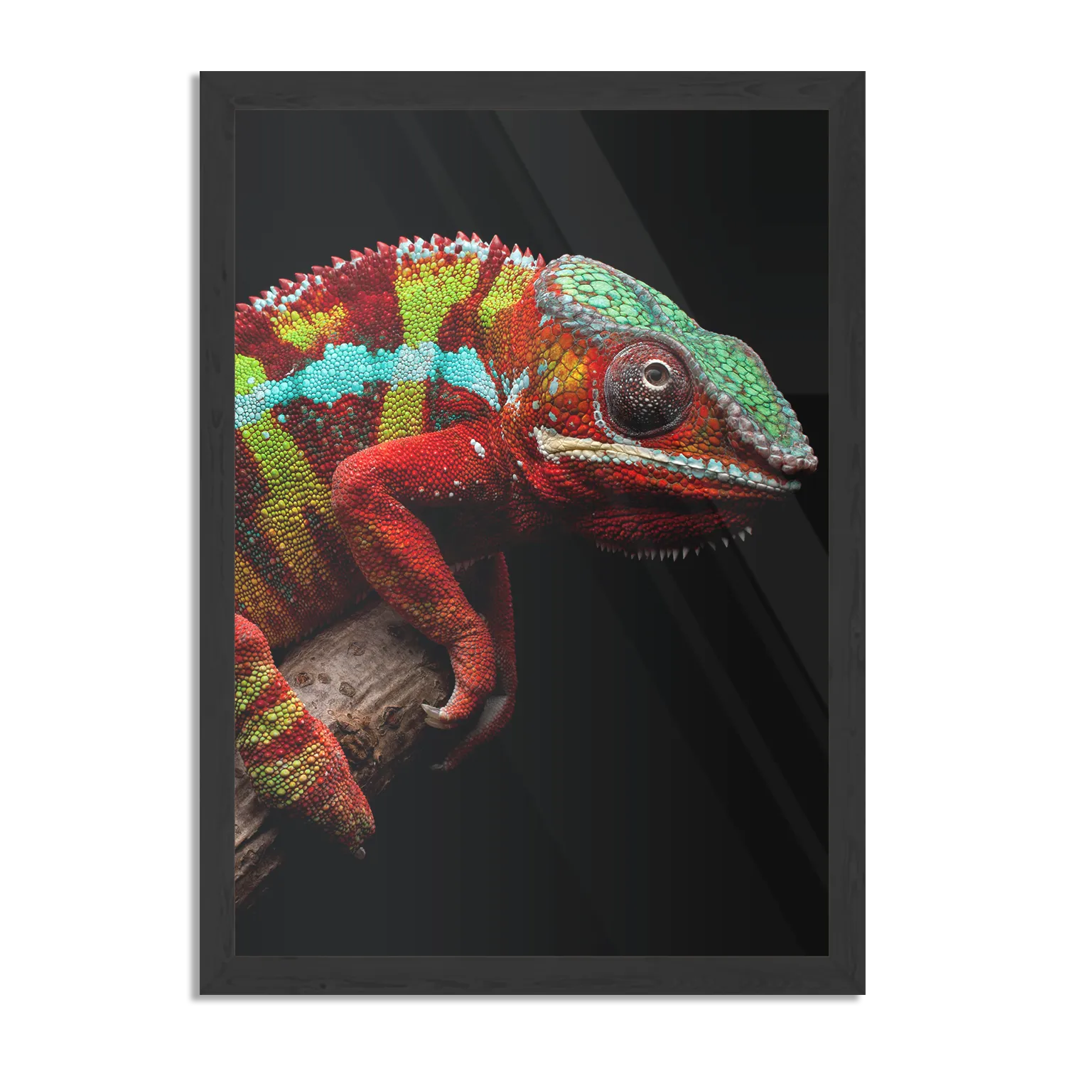 Poster De Kameleon Rechthoek Verticaal Met Lijst Template PBL 50 70 Verticaal Dieren 46 1