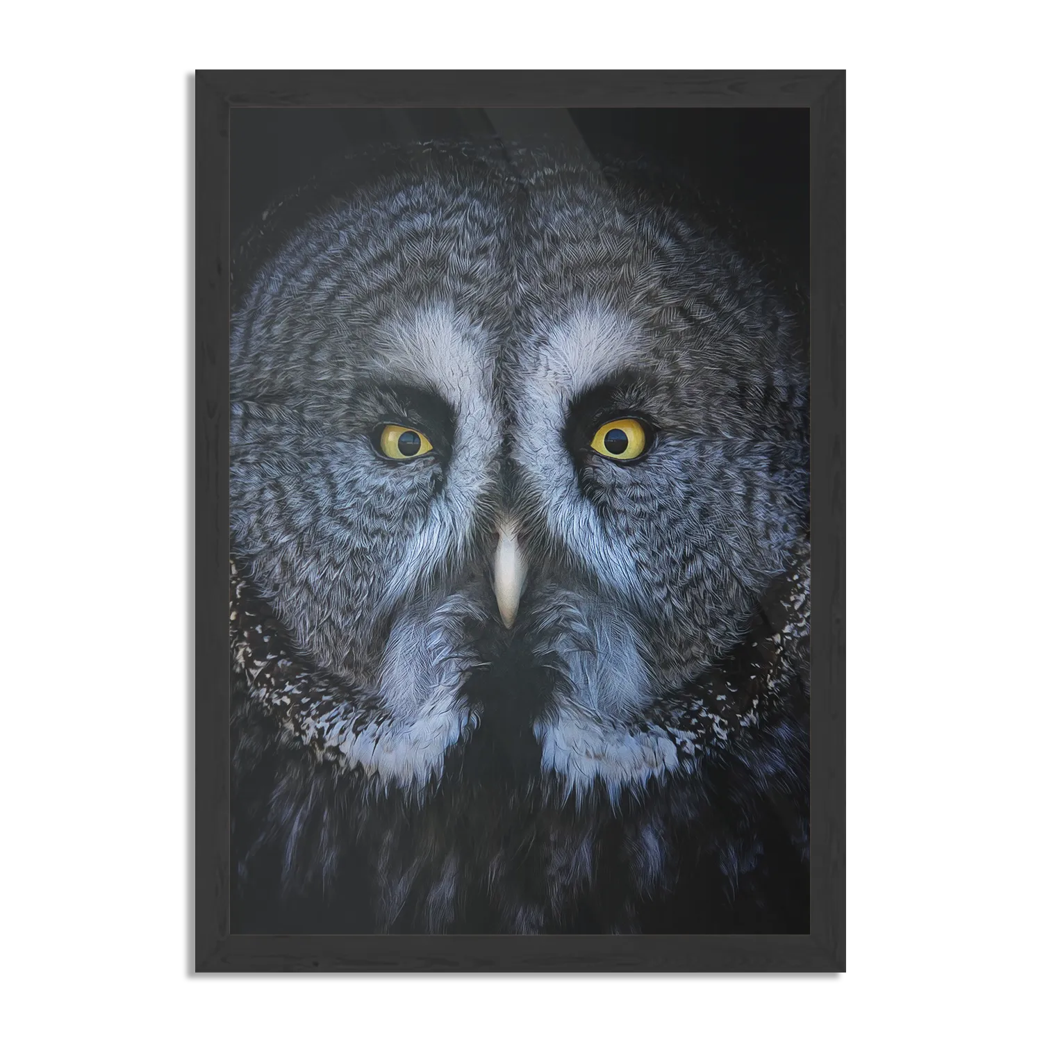 Poster Uil Hoofd Close Up Rechthoek Verticaal Met Lijst Template PBL 50 70 Verticaal Dieren 49 1