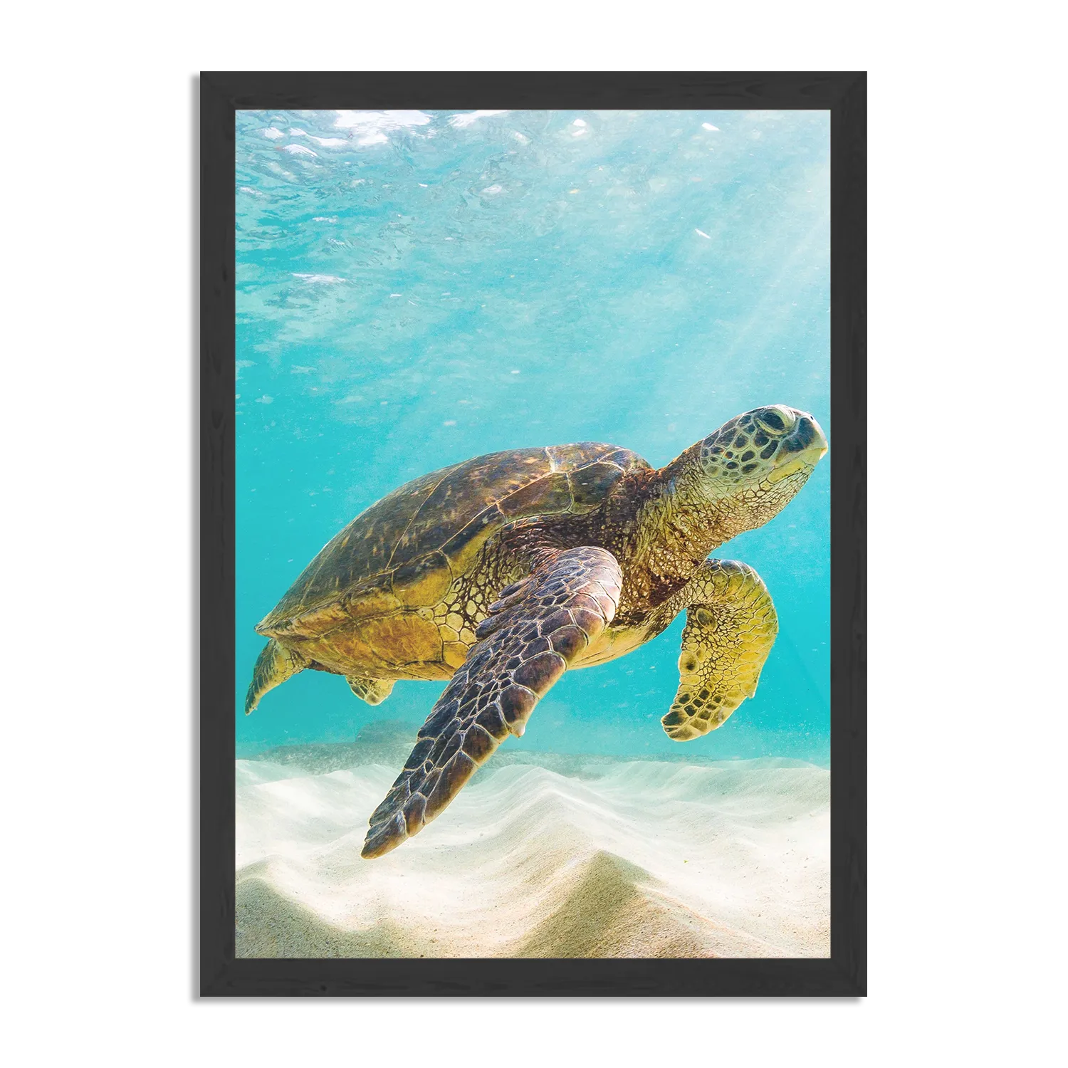 Poster Zeeschildpad In Helderblauw Water 04 Rechthoek Verticaal Met Lijst Template PBL 50 70 Verticaal Dieren 58 1