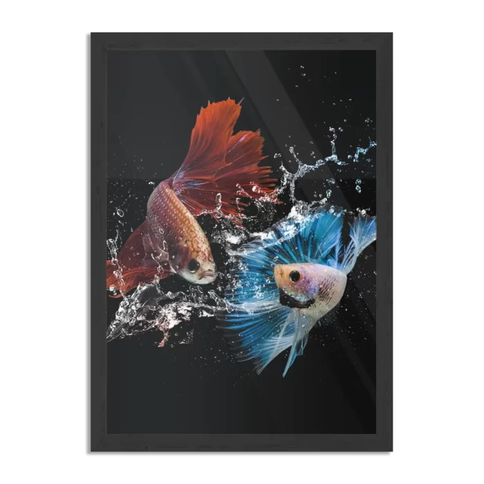 Poster Twain Betta Fishes Rechthoek Verticaal Met Lijst Template PBL 50 70 Verticaal Dieren 68 1