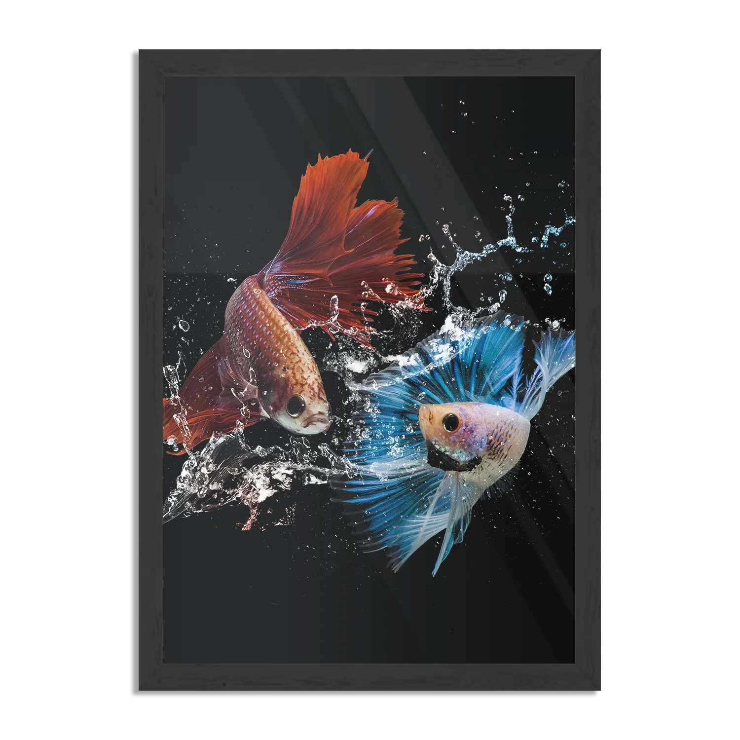 Poster Twain Betta Fishes Rechthoek Verticaal Met Lijst Template PBL 50 70 Verticaal Dieren 68 1