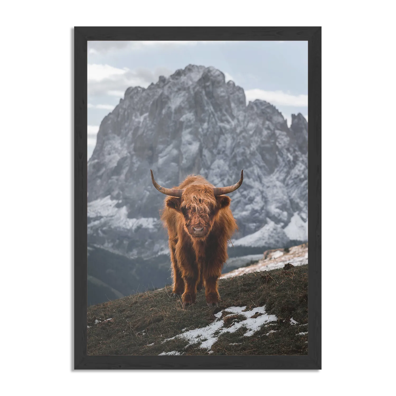 Poster Bizon Van Het Gebergten Rechthoek Verticaal Met Lijst Template PBL 50 70 Verticaal Dieren 71 1