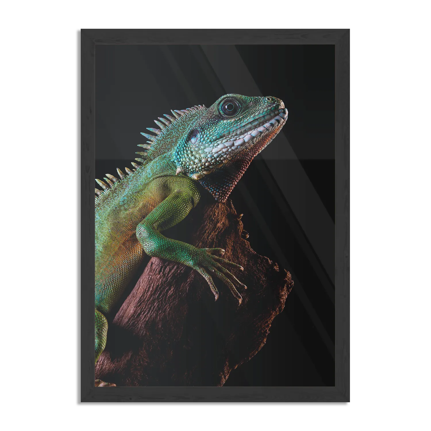 Poster De Groene Kameleon Rechthoek Verticaal Met Lijst Template PBL 50 70 Verticaal Dieren 73 1