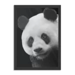 Poster Pandabeer Zwart Wit 02 Rechthoek Verticaal Met Lijst Template PBL 50 70 Verticaal Dieren 74 1