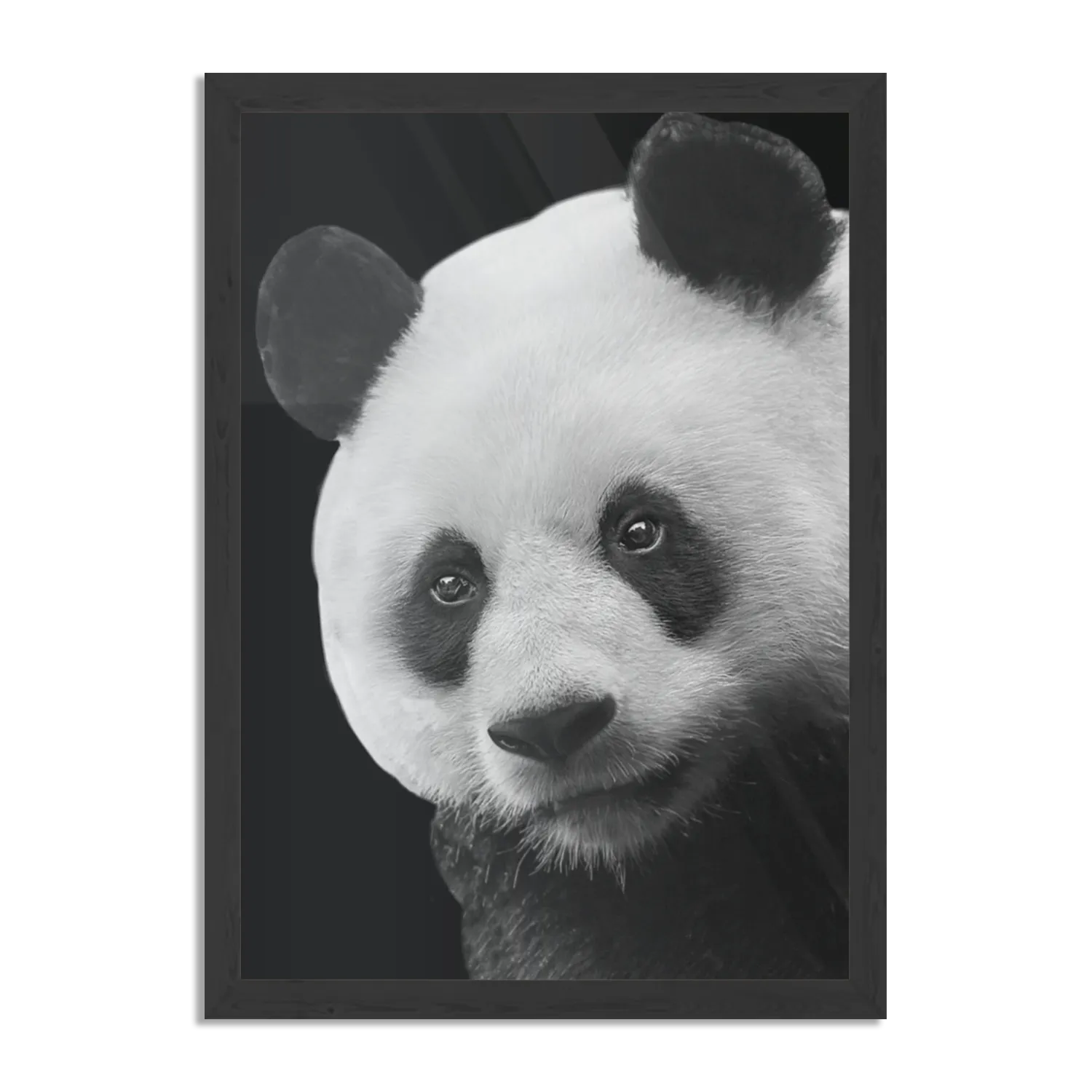 Poster Pandabeer Zwart Wit 02 Rechthoek Verticaal Met Lijst Template PBL 50 70 Verticaal Dieren 74 1
