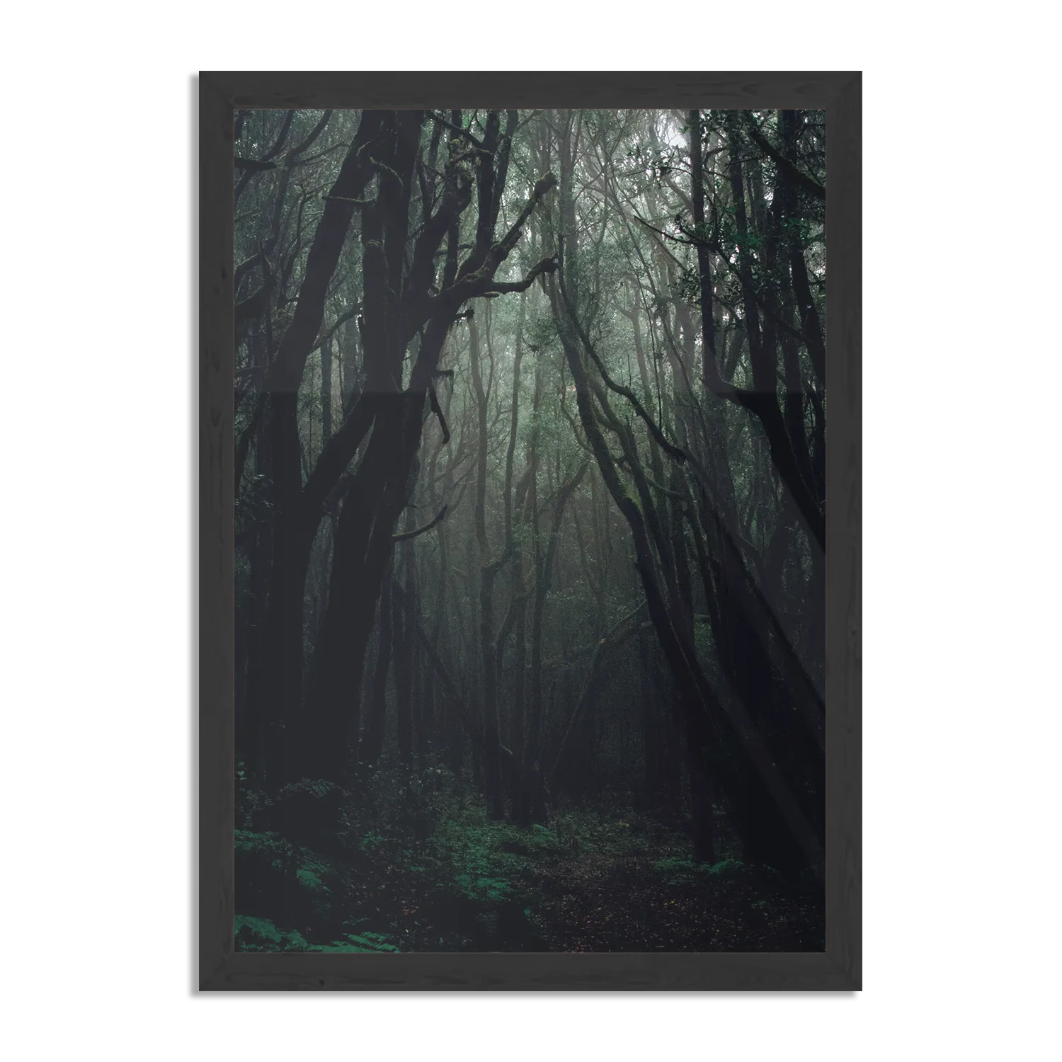 Poster Het Donkere Bos Rechthoek Verticaal Met Lijst Template PBL 50 70 Verticaal Natuur 1 1