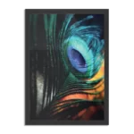 Poster Een veer van de Pauw Rechthoek Verticaal Met Lijst Template PBL 50 70 Verticaal Natuur 11 1