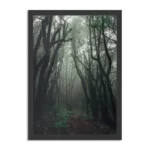 Poster Het Donkere Bos 2 Rechthoek Verticaal Met Lijst Template PBL 50 70 Verticaal Natuur 17 1