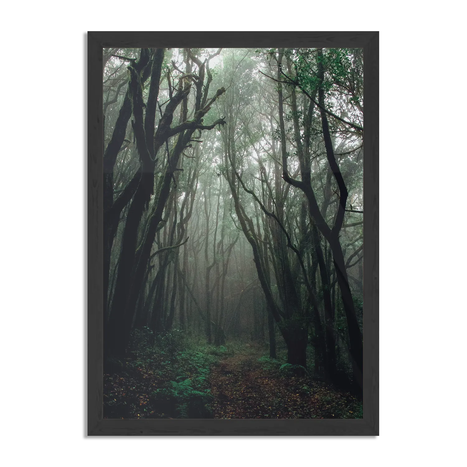 Poster Het Donkere Bos 2 Rechthoek Verticaal Met Lijst Template PBL 50 70 Verticaal Natuur 17 1