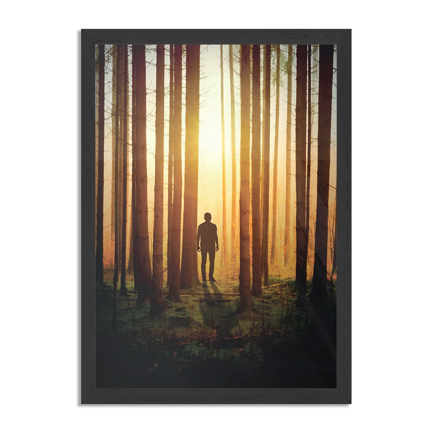 Poster De bomen door het bos Rechthoek Verticaal Met Lijst Template PBL 50 70 Verticaal Natuur 19 1