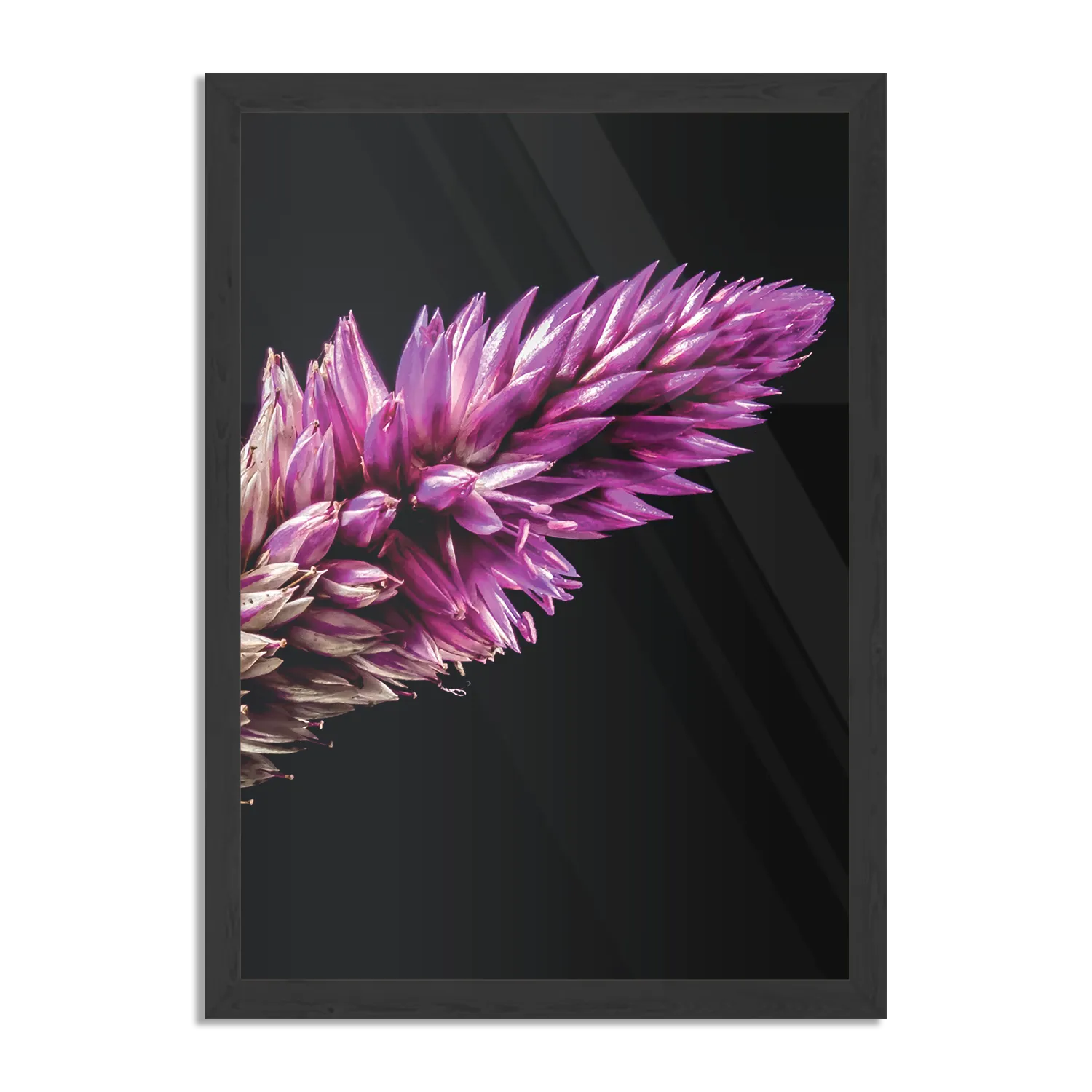 Poster Heiden Bloem Rechthoek Verticaal Met Lijst Template PBL 50 70 Verticaal Natuur 24 1