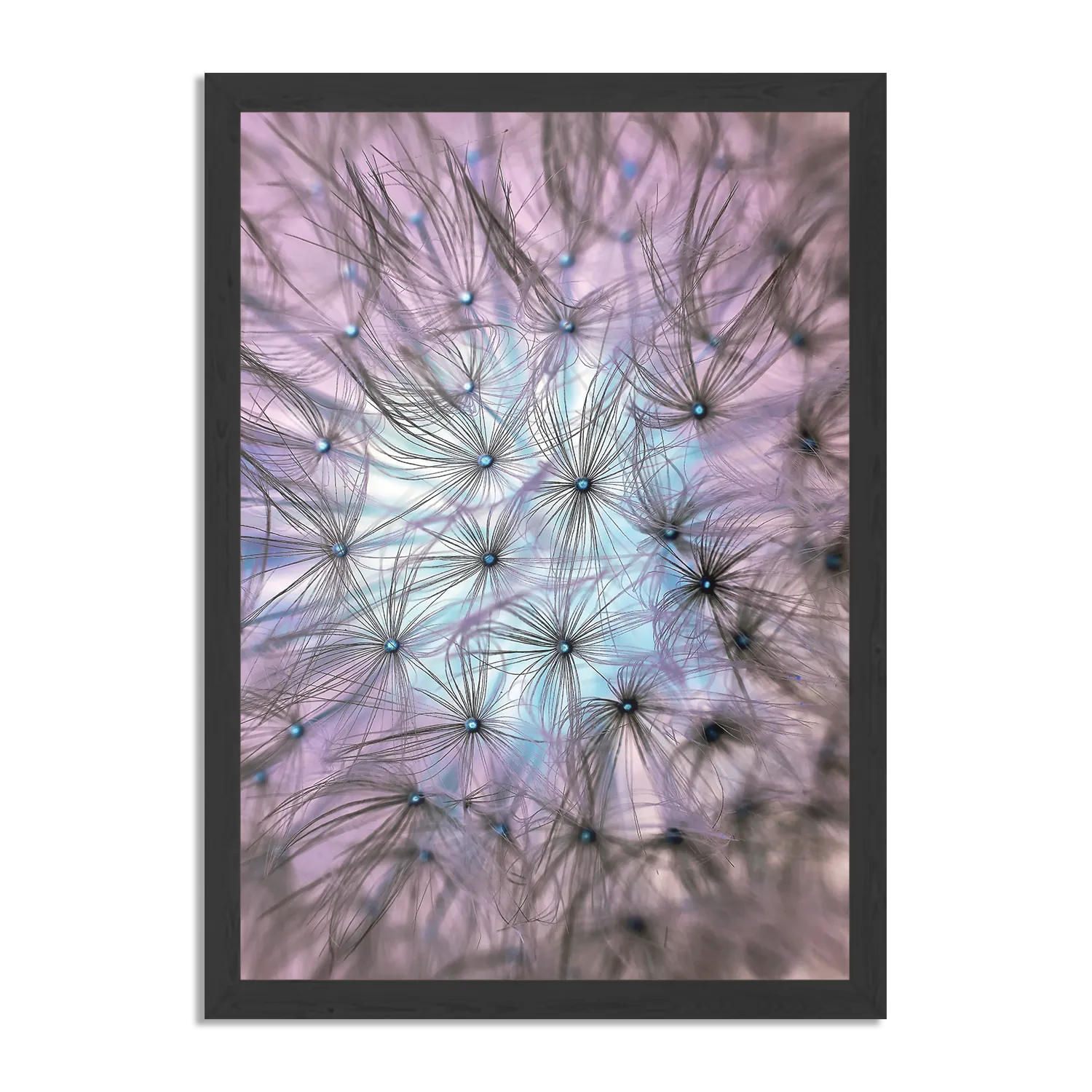 Poster Paardenbloem pluis Rechthoek Verticaal Met Lijst Template PBL 50 70 Verticaal Natuur 25 1