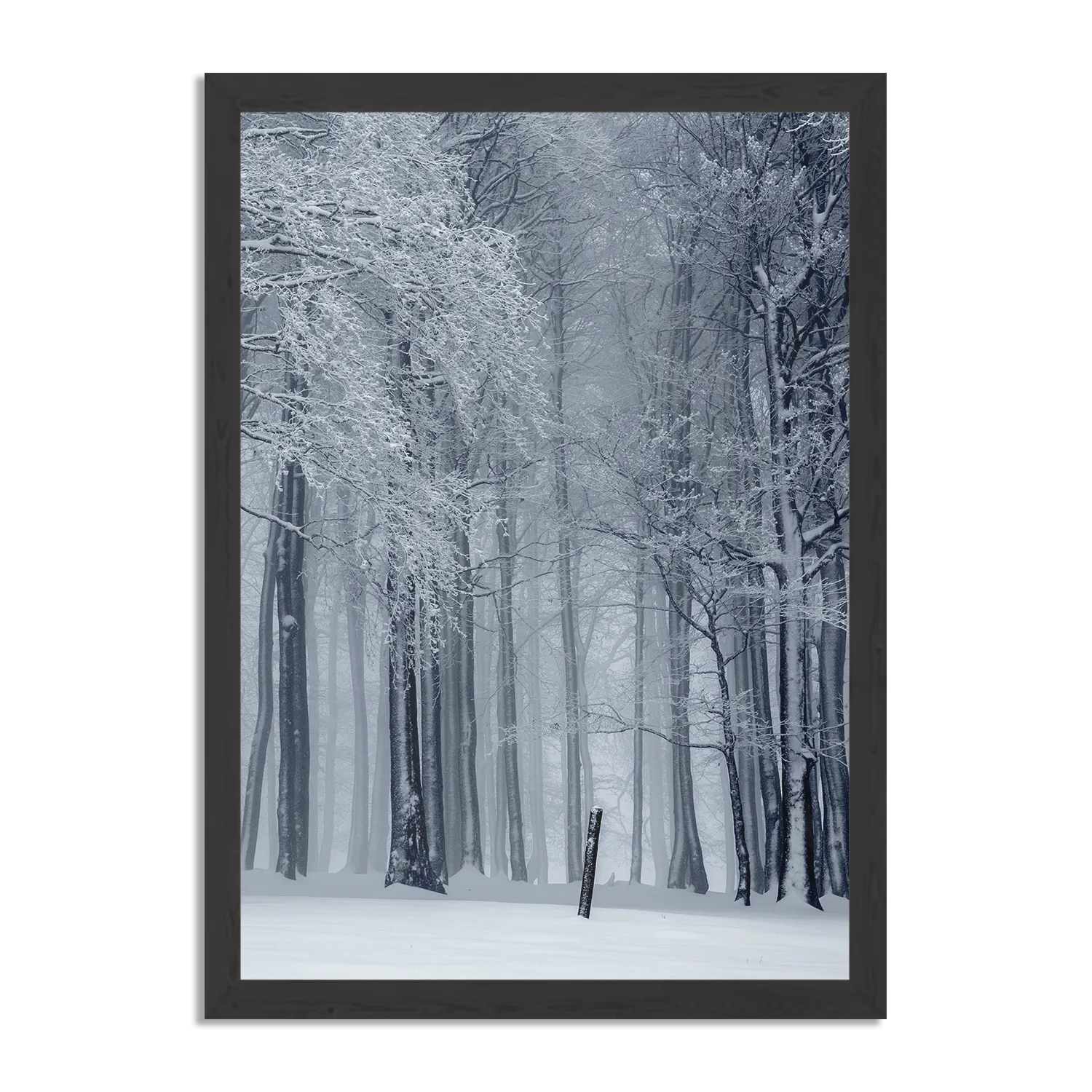 Poster Het winterse bos Rechthoek Verticaal Met Lijst Template PBL 50 70 Verticaal Natuur 27 1