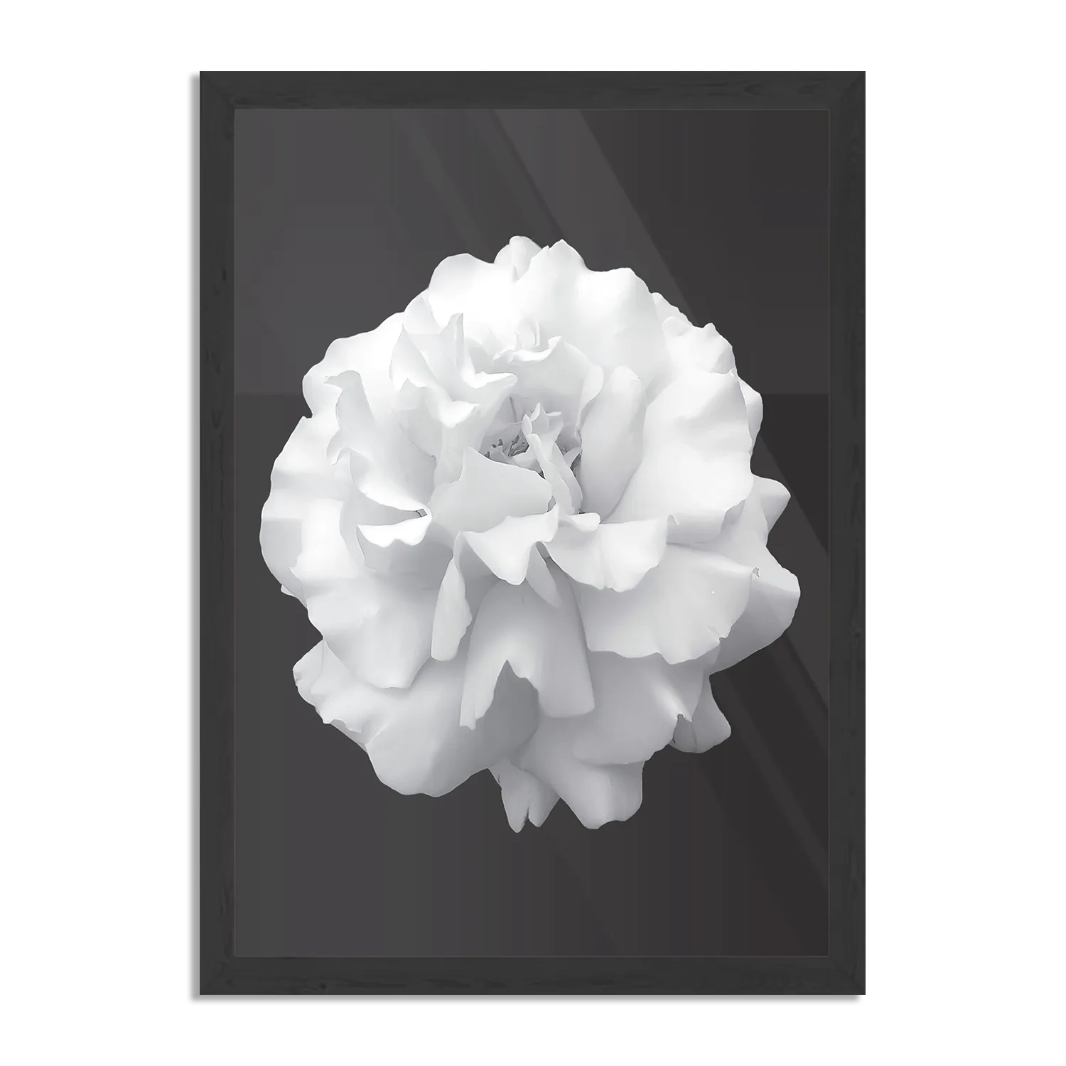 Poster Witte Anjer Rechthoek Verticaal Met Lijst Template PBL 50 70 Verticaal Natuur 38 1