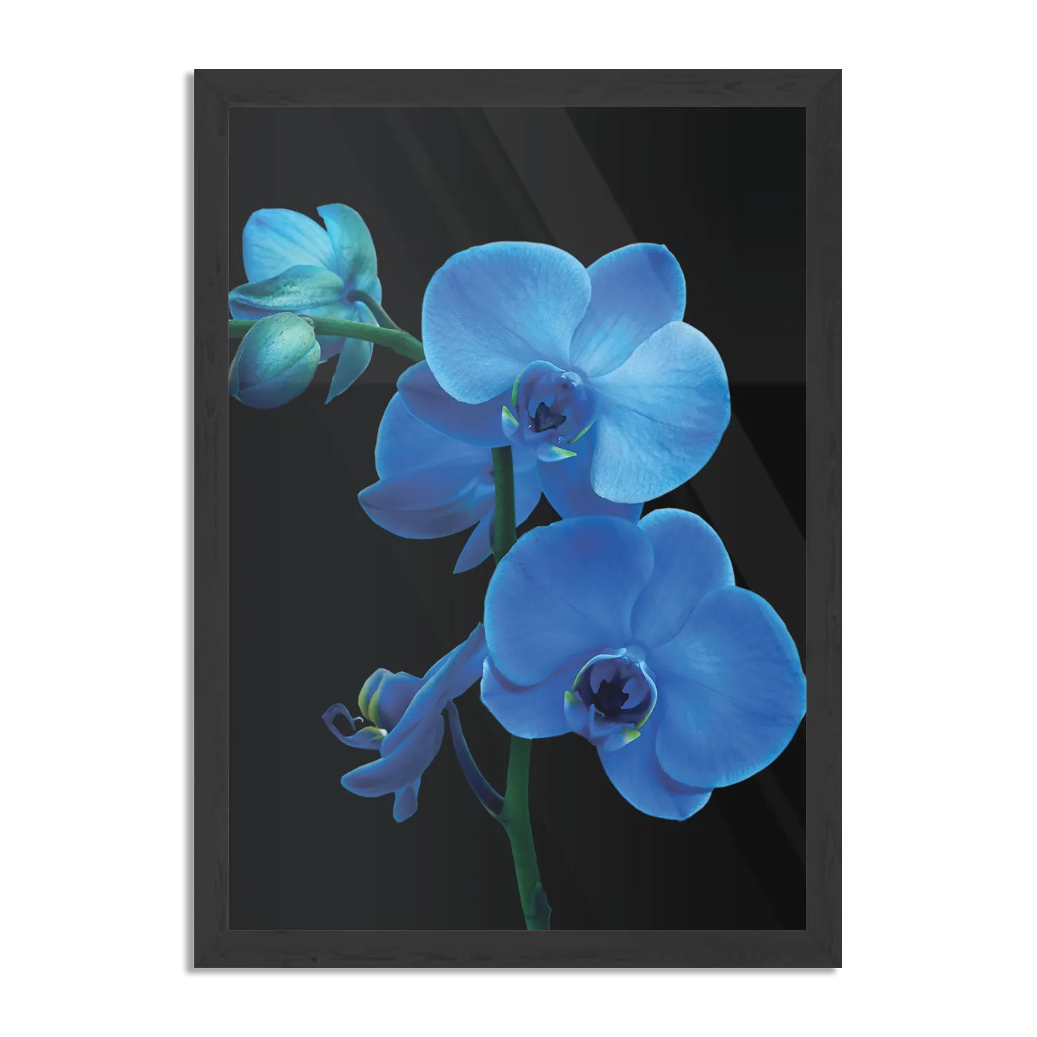 Poster Orchidee Rechthoek Verticaal Met Lijst Template PBL 50 70 Verticaal Natuur 39 1