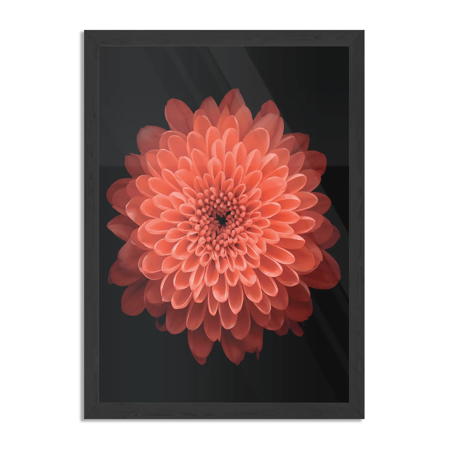 Poster Oranje Dahlia Rechthoek Verticaal Met Lijst Template PBL 50 70 Verticaal Natuur 53 1