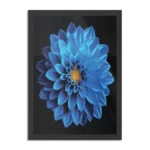 Poster Blauwe Dahlia Rechthoek Verticaal Met Lijst Template PBL 50 70 Verticaal Natuur 54 1