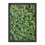 Poster Het groene bos Rechthoek Verticaal Met Lijst Template PBL 50 70 Verticaal Natuur 64 1
