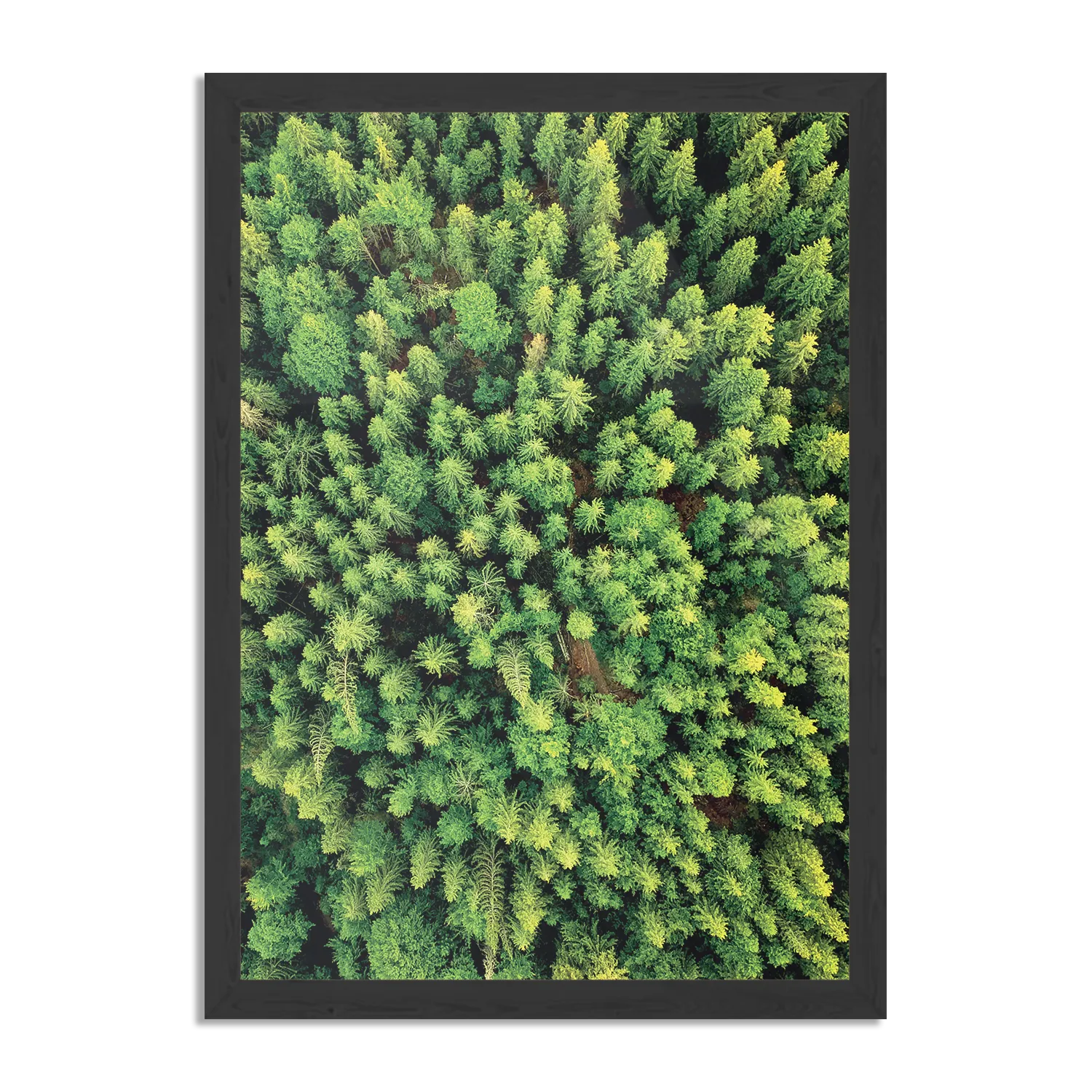 Poster Het groene bos Rechthoek Verticaal Met Lijst Template PBL 50 70 Verticaal Natuur 64 1