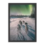 Poster Huskies door Lapland Rechthoek Verticaal Met Lijst Template PBL 50 70 Verticaal Natuur 66 1