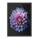 Poster Paarse Dahlia Rechthoek Verticaal Met Lijst Template PBL 50 70 Verticaal Natuur 67 1