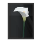 Poster Aaronskelk Rechthoek Verticaal Met Lijst Template PBL 50 70 Verticaal Natuur 73 1