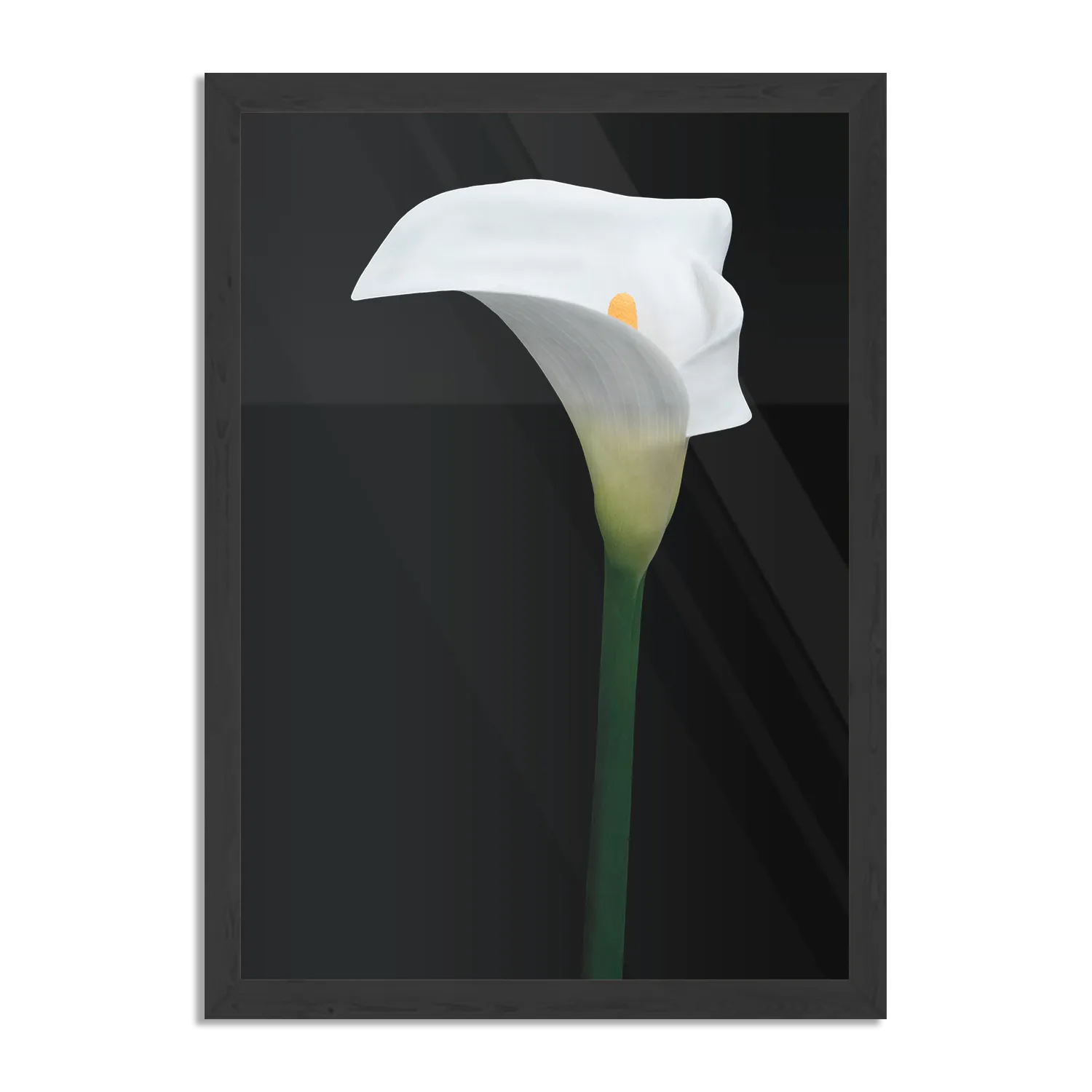 Poster Aaronskelk Rechthoek Verticaal Met Lijst Template PBL 50 70 Verticaal Natuur 73 1