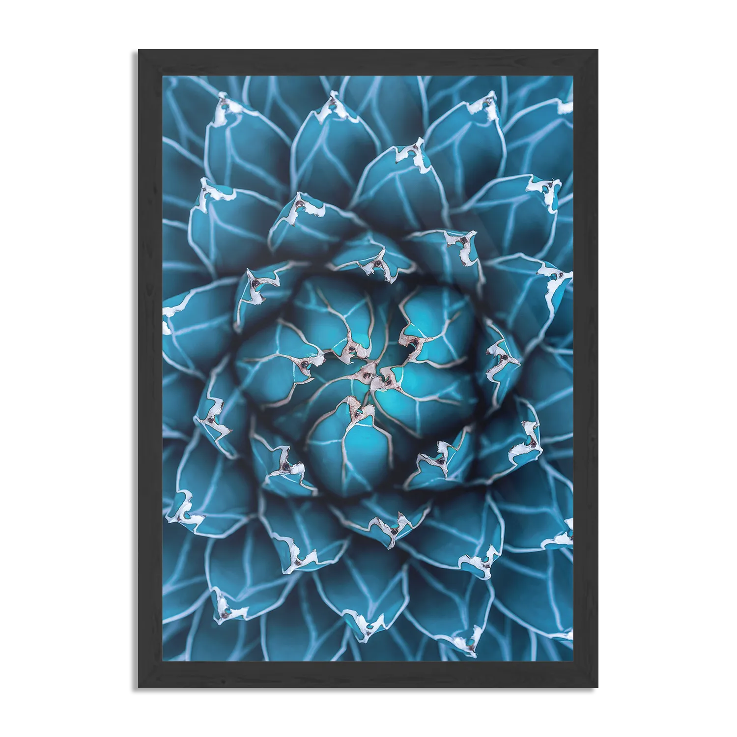 Poster Kleurrijke bloem 1 Rechthoek Verticaal Met Lijst Template PBL 50 70 Verticaal Natuur 92 1