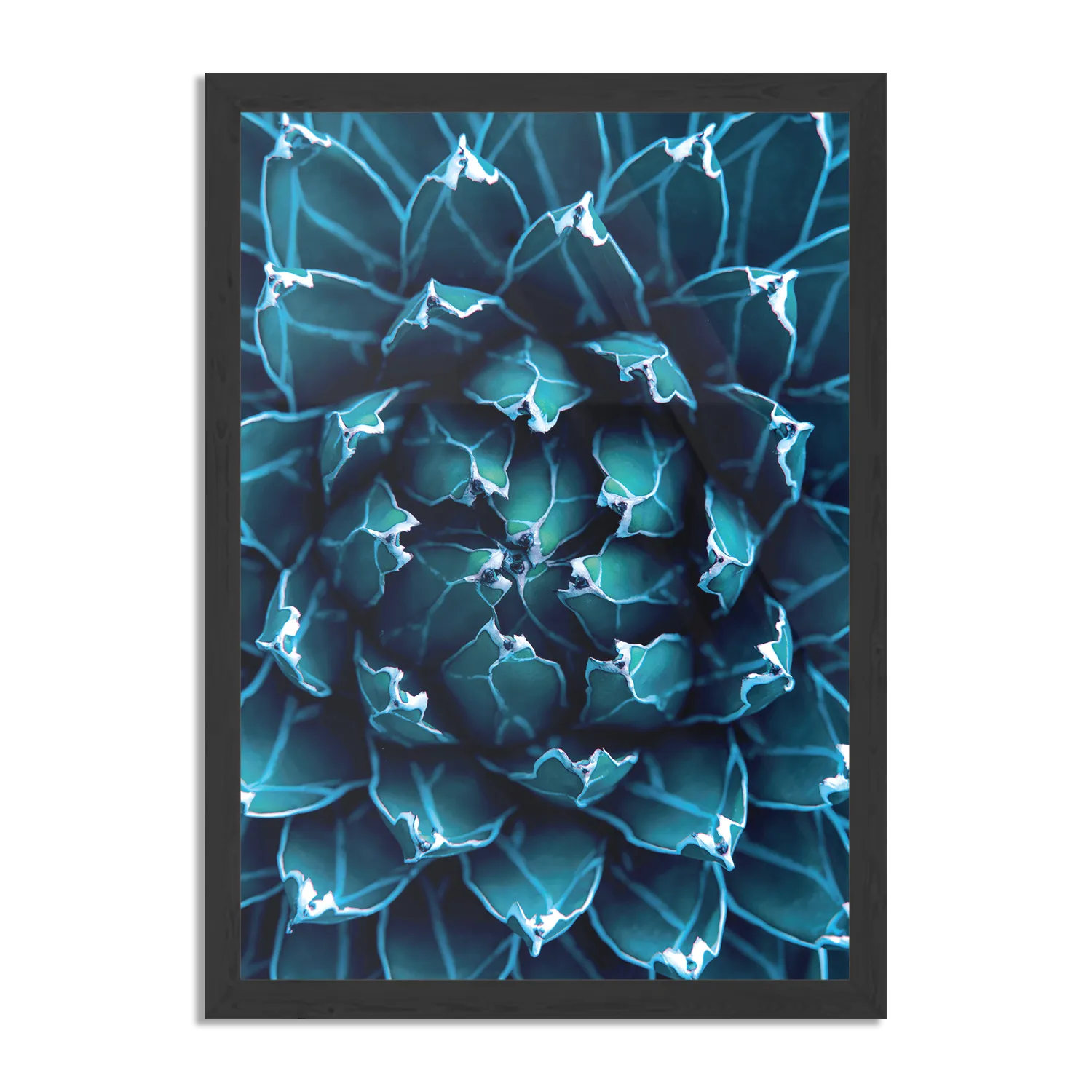 Poster Kleurrijke bloem 3 Rechthoek Verticaal Met Lijst Template PBL 50 70 Verticaal Natuur 94 1