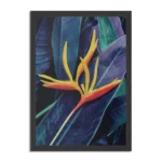 Poster Heliconia bloem op donkere achtergrond Rechthoek Verticaal Met Lijst Template PBL 50 70 Verticaal Natuur 95 1