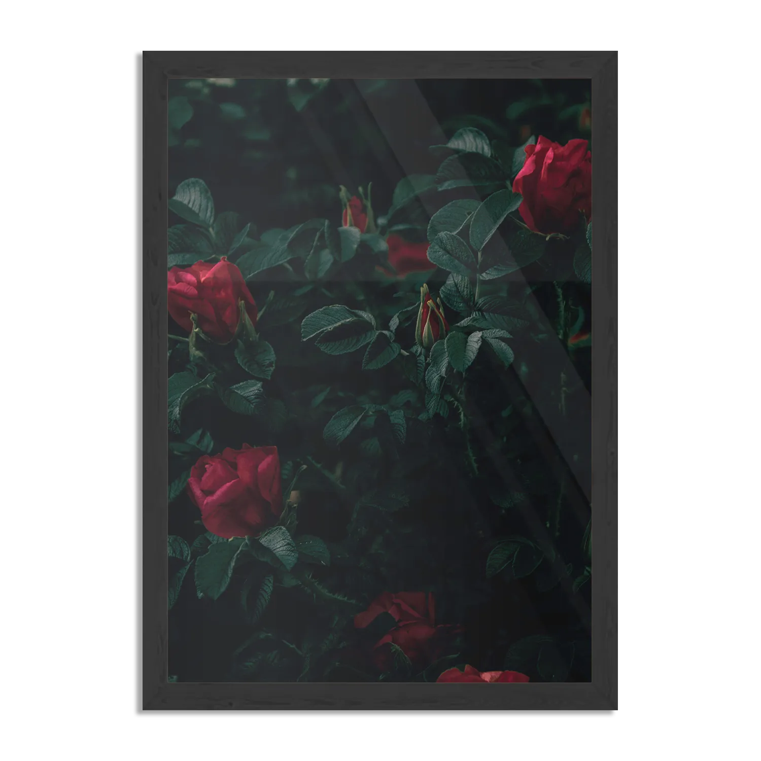 Poster Romantische Rozen Rechthoek Verticaal Met Lijst Template PBL 50 70 Verticaal Romantisch 6 1