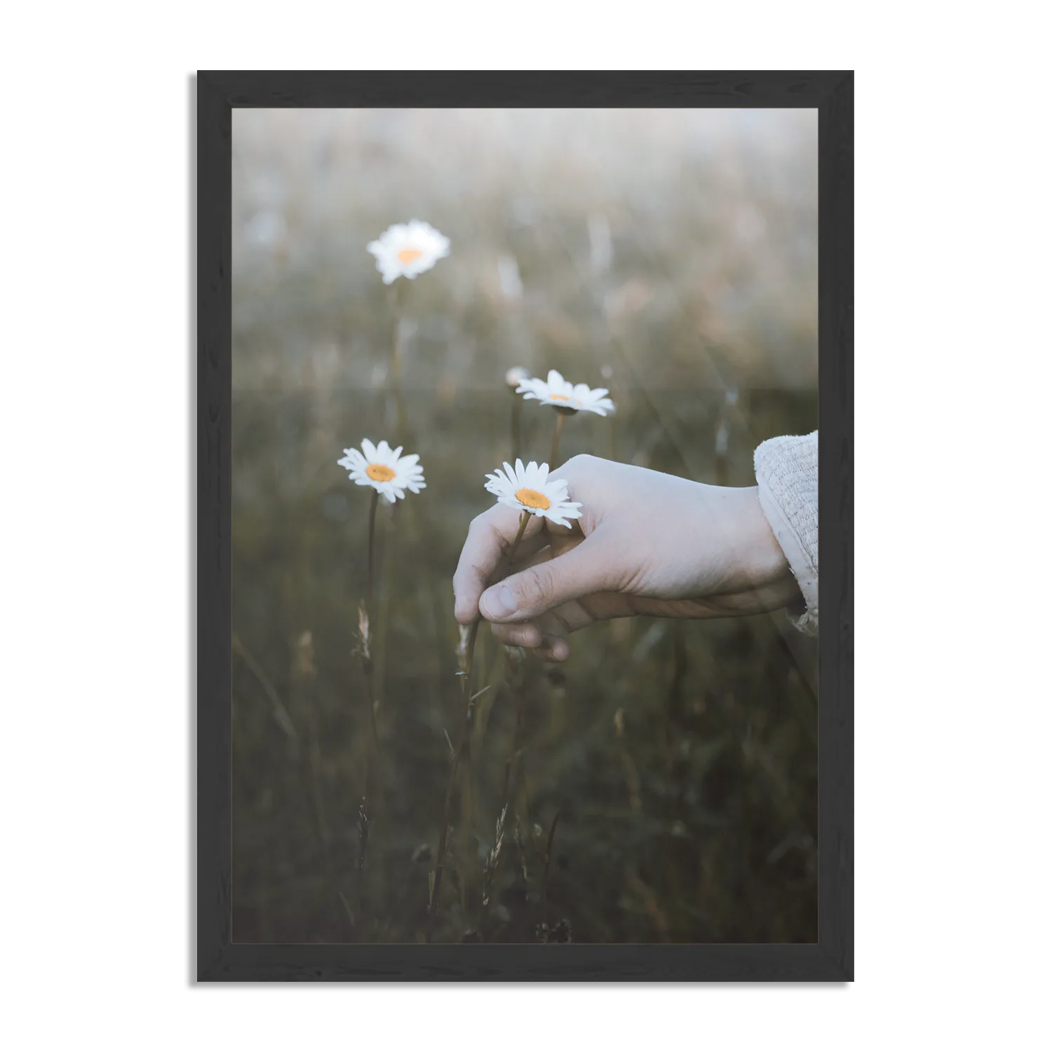 Poster Pluk Het Madeliefje Rechthoek Verticaal Met Lijst Template PBL 50 70 Verticaal Romantisch 7 1