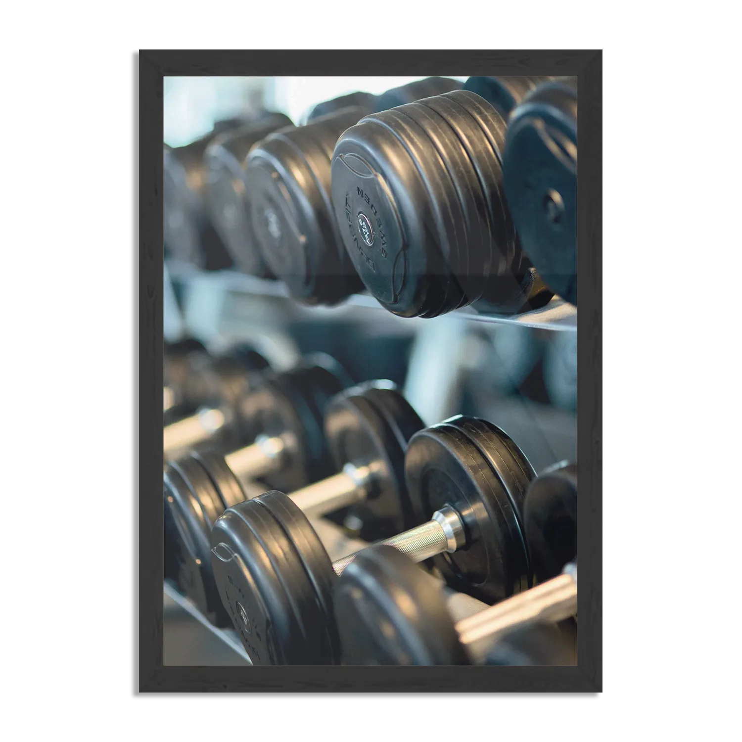 Poster Halters In De Sportschool Rechthoek Verticaal Met Lijst Template PBL 50 70 Verticaal Sport 5 1