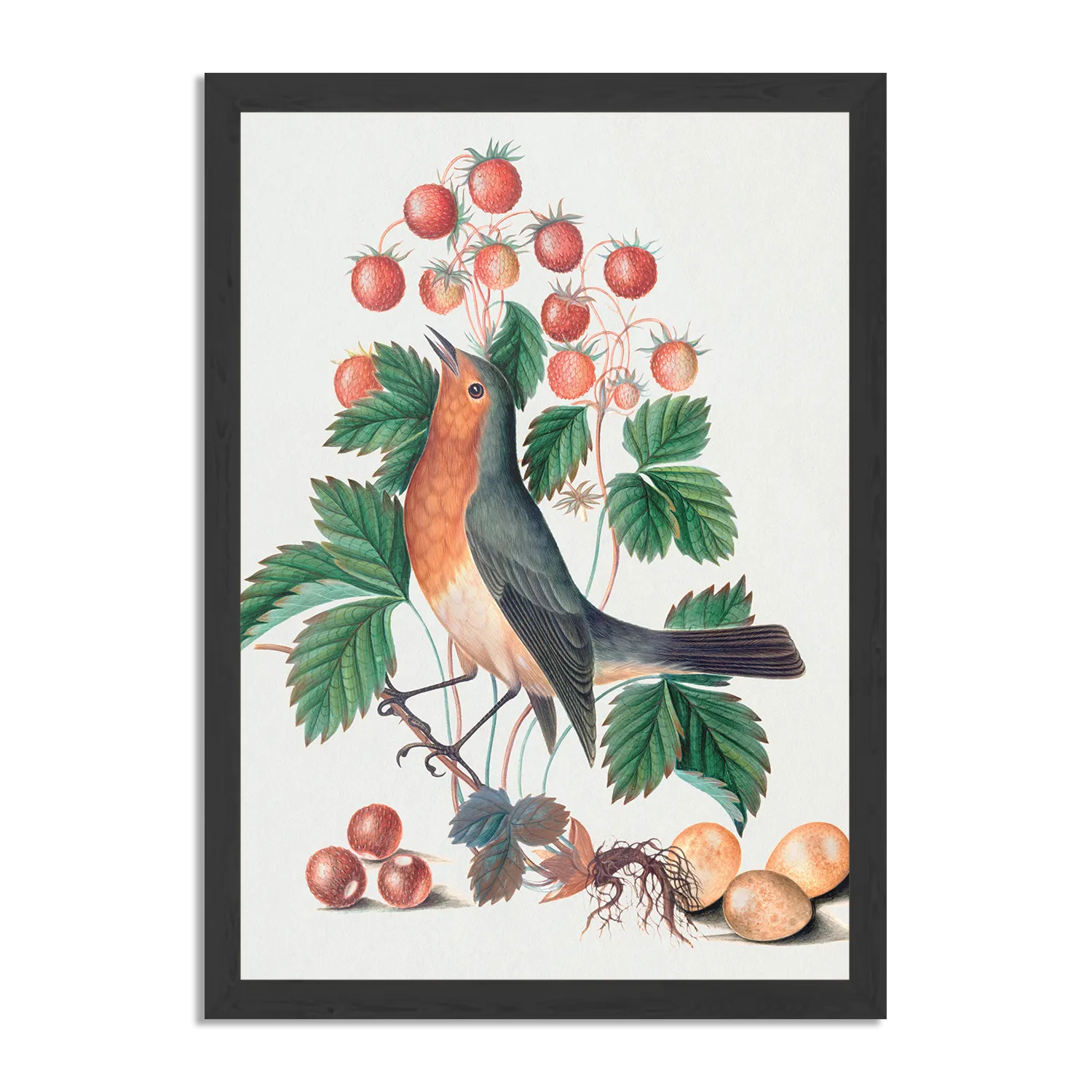 Poster Prent Natuur Vogel en Bloemen 11 Rechthoek Verticaal Met Lijst Template PBL 50 70 Verticaal Vintage 11 1