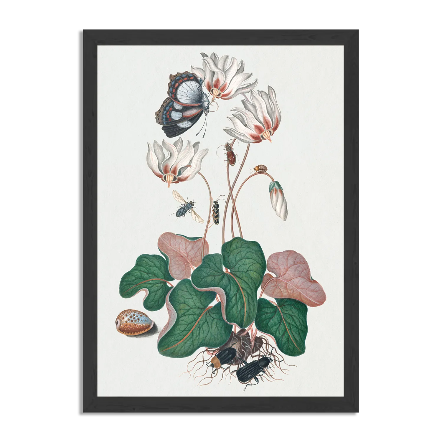 Poster Prent Natuur Vogel en Bloemen 12 Rechthoek Verticaal Met Lijst Template PBL 50 70 Verticaal Vintage 12 1